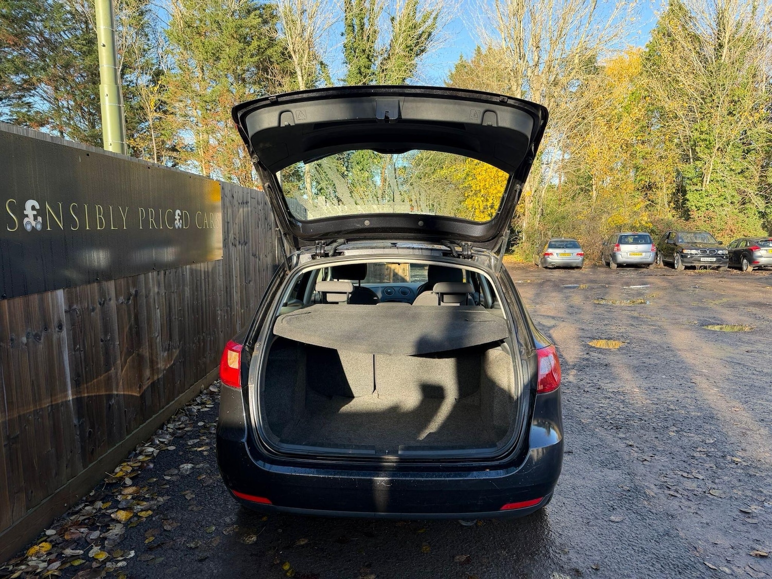 Used SEAT Ibiza 2010 for sale - 76753190: Photo 6