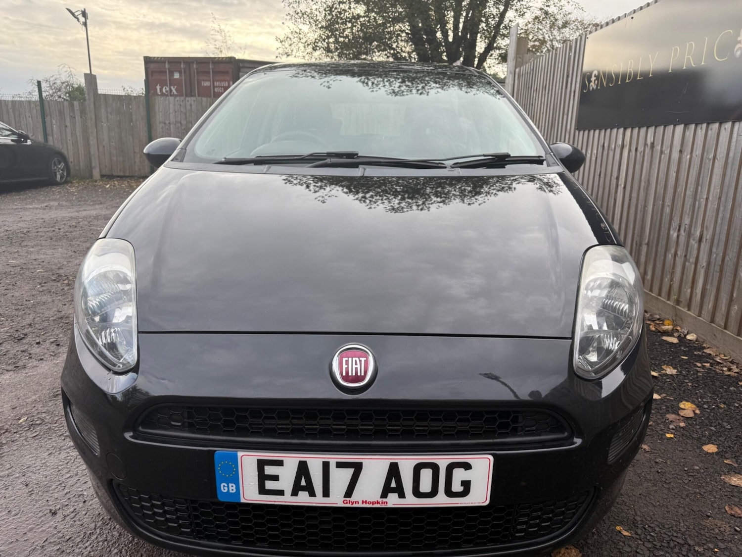 Used Fiat Punto 2017 for sale - 76607291: Photo 2
