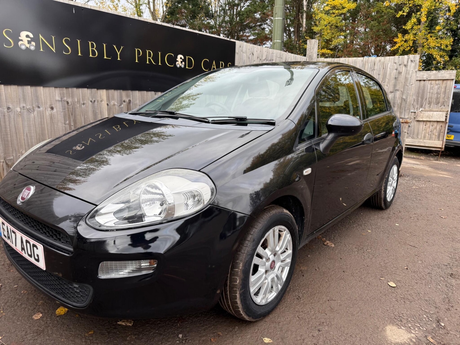 Used Fiat Punto 2017 for sale - 76607291: Photo 3
