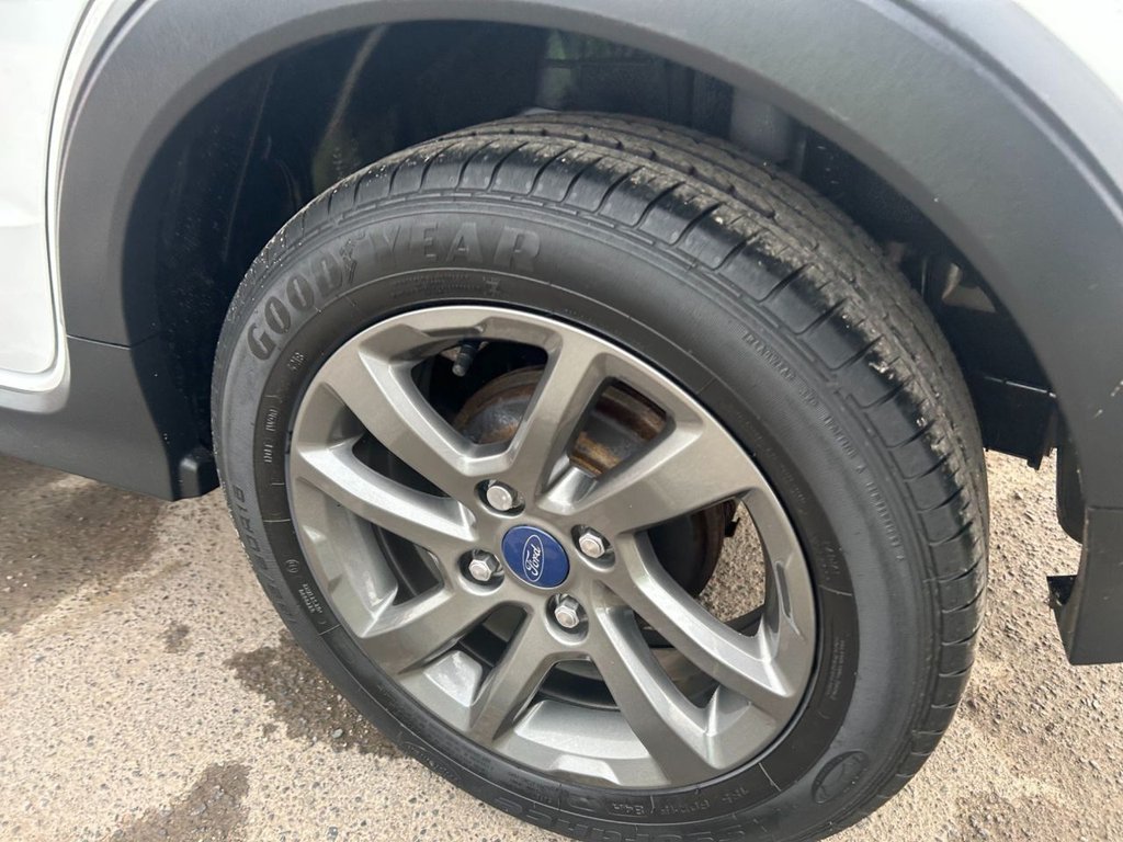 Used Ford Ka+ 2019 for sale - 77779967: Photo 14