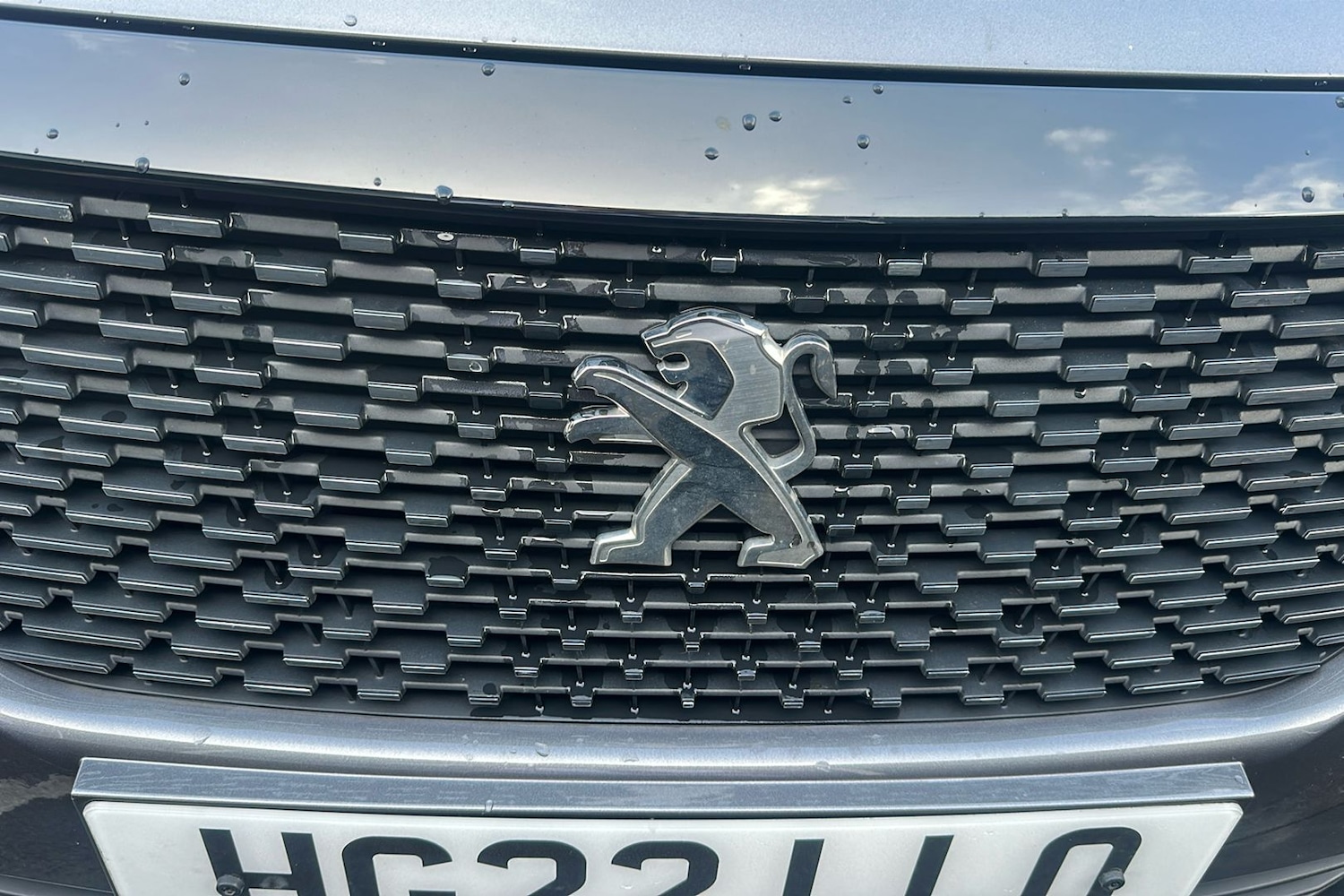 Vehicle 23