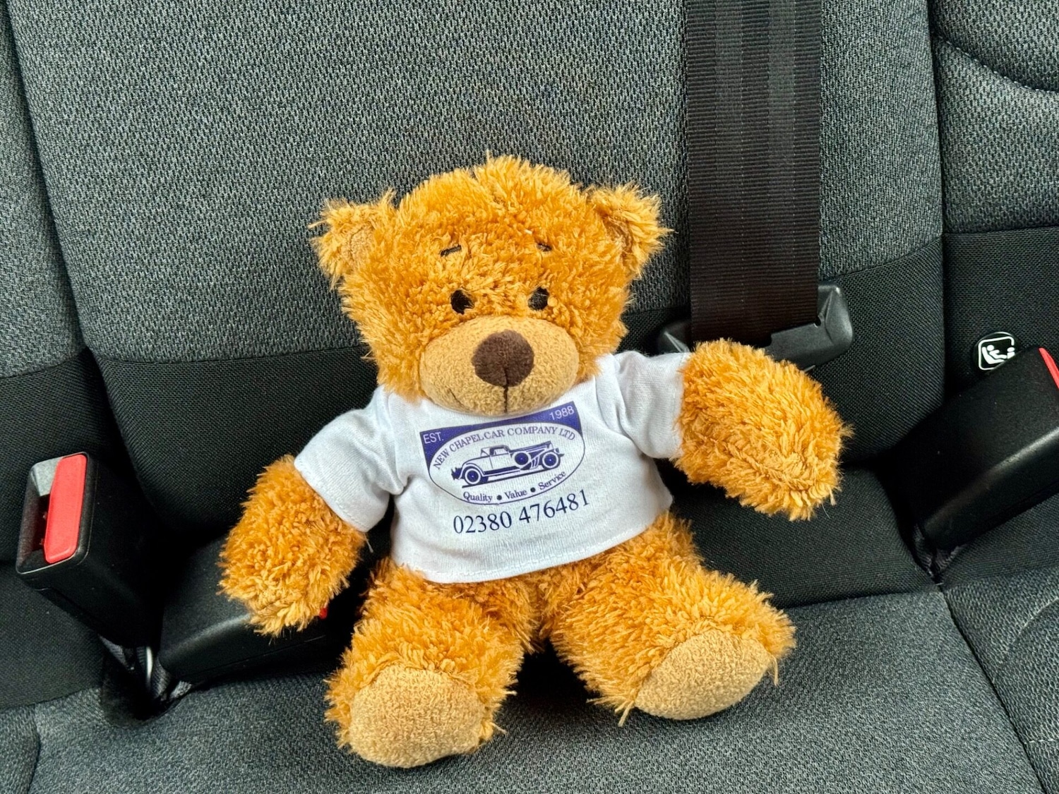 Used Citroen C3 2022 for sale - 76922799: Photo 49