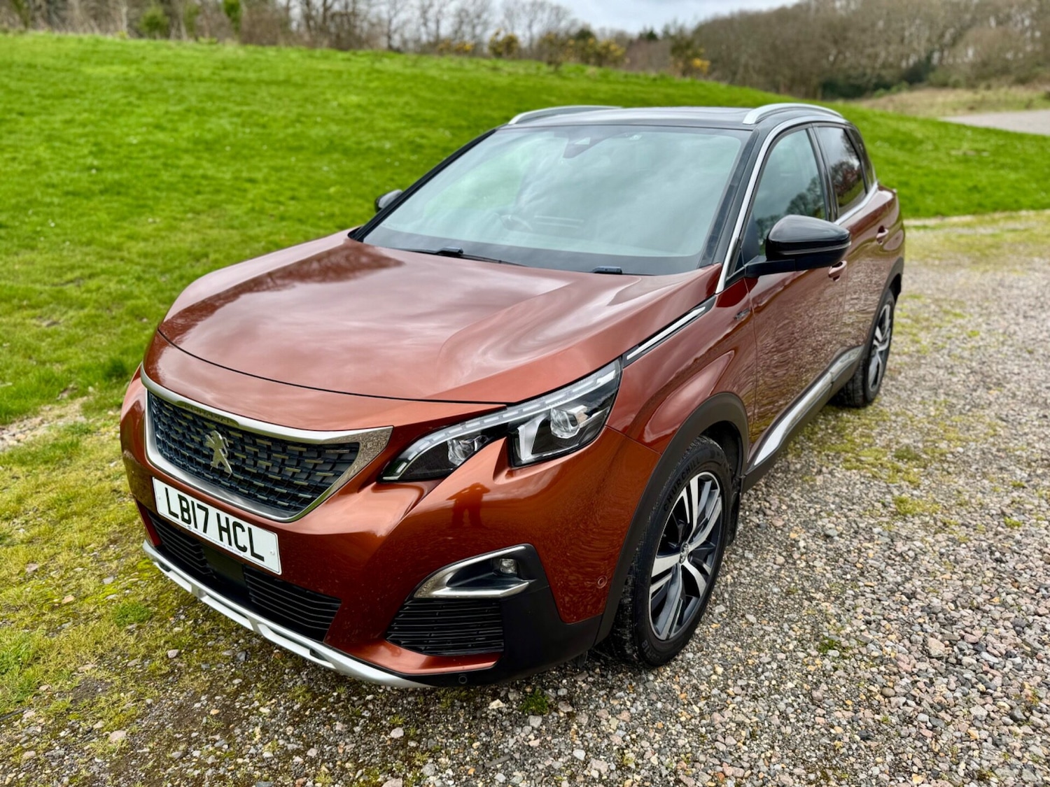 Used Peugeot 3008 2017 for sale - 77890750: Photo 8