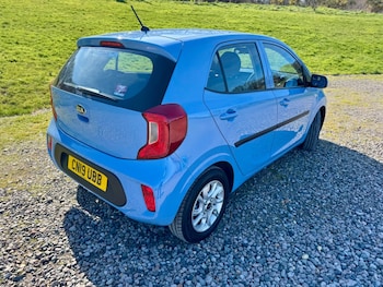 Used Kia Picanto 2019 for sale - 77890772: Photo