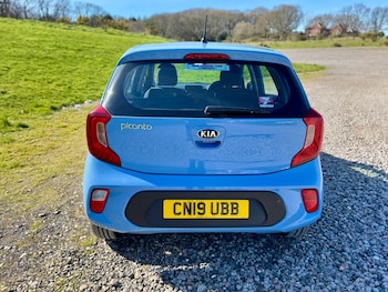 Used Kia Picanto 2019 for sale - 77890772: Photo
