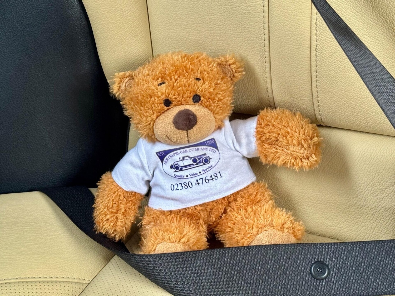 Used Toyota C-HR 2021 for sale - 76716040: Photo 54