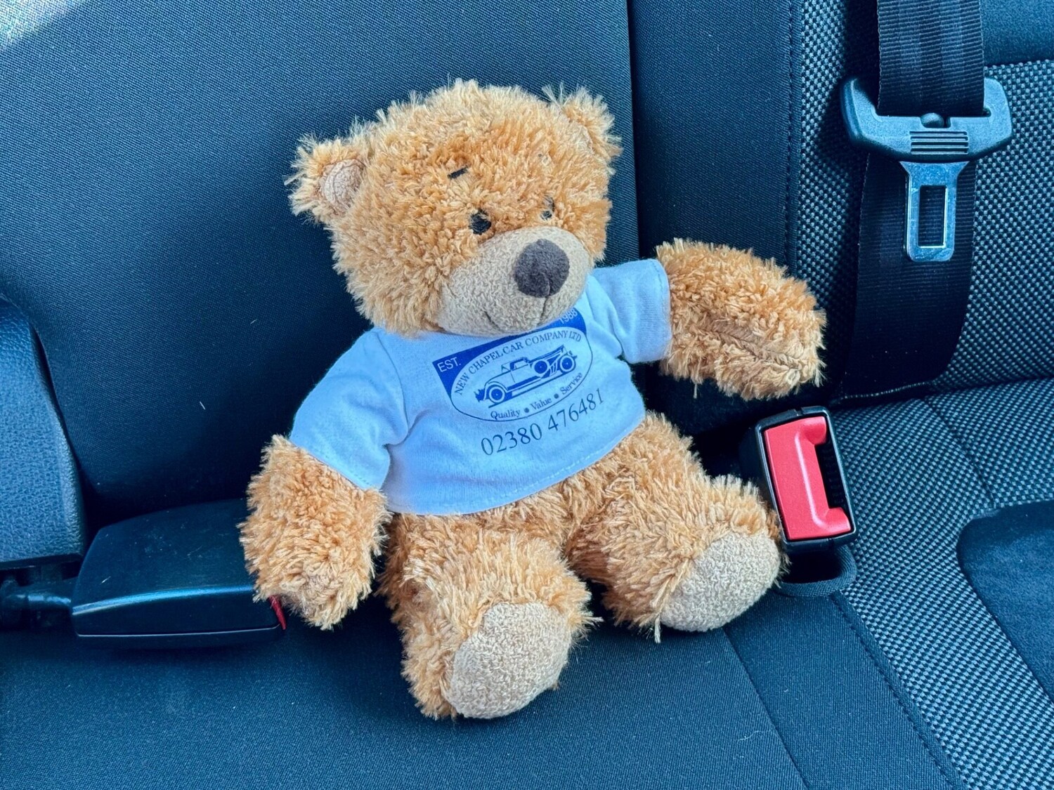 Used Volkswagen Tiguan 2015 for sale - 77557371: Photo 47