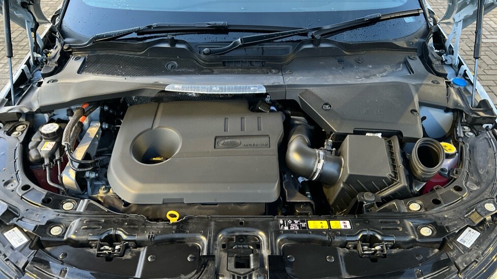 Used Land Rover Range Rover Evoque 2025 for sale - 77010485: Photo 30