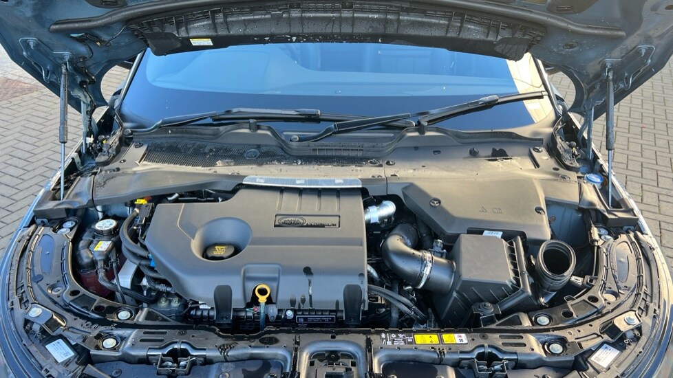 Used Land Rover Range Rover Evoque 2025 for sale - 76915107: Photo 30