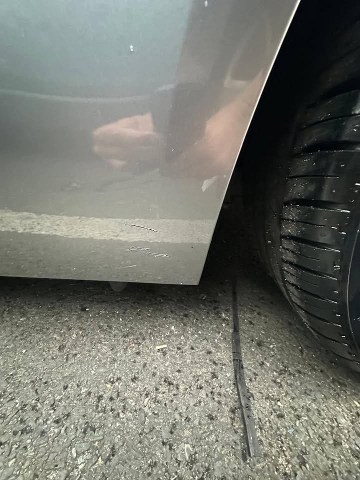 Used BMW 3 Series 2010 for sale - 76177026: Photo 12