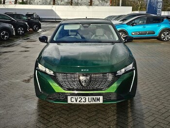 Used Peugeot 308 2023 for sale - 77005994: Photo