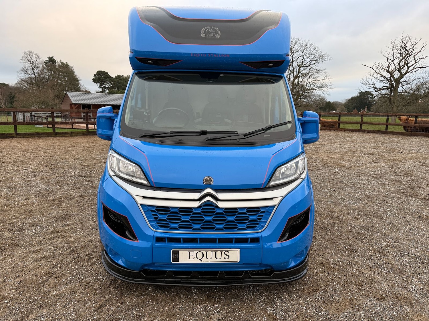 Used Citroen Relay 2020 for sale - 77135723: Photo 16