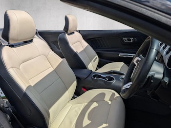 Used Ford Mustang 2016 for sale - 79386183: Photo