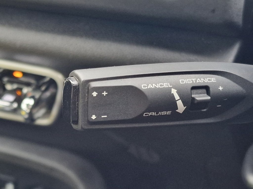 Used GWM Funky Cat 2023 for sale - 77187879: Photo 28