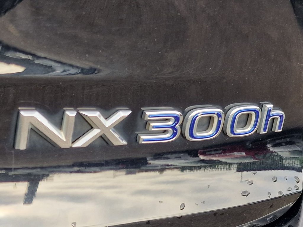 Used Lexus NX 2015 for sale - 76744398: Photo 47