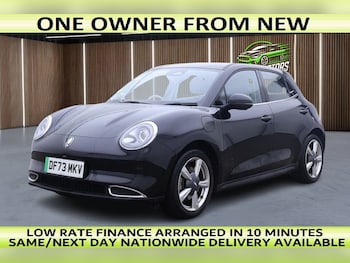 GWM Funky Cat feature image