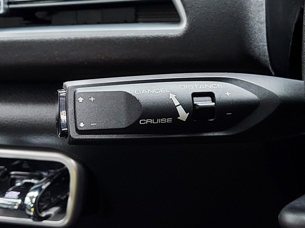 Used GWM Funky Cat 2023 for sale - 77636788: Photo 41