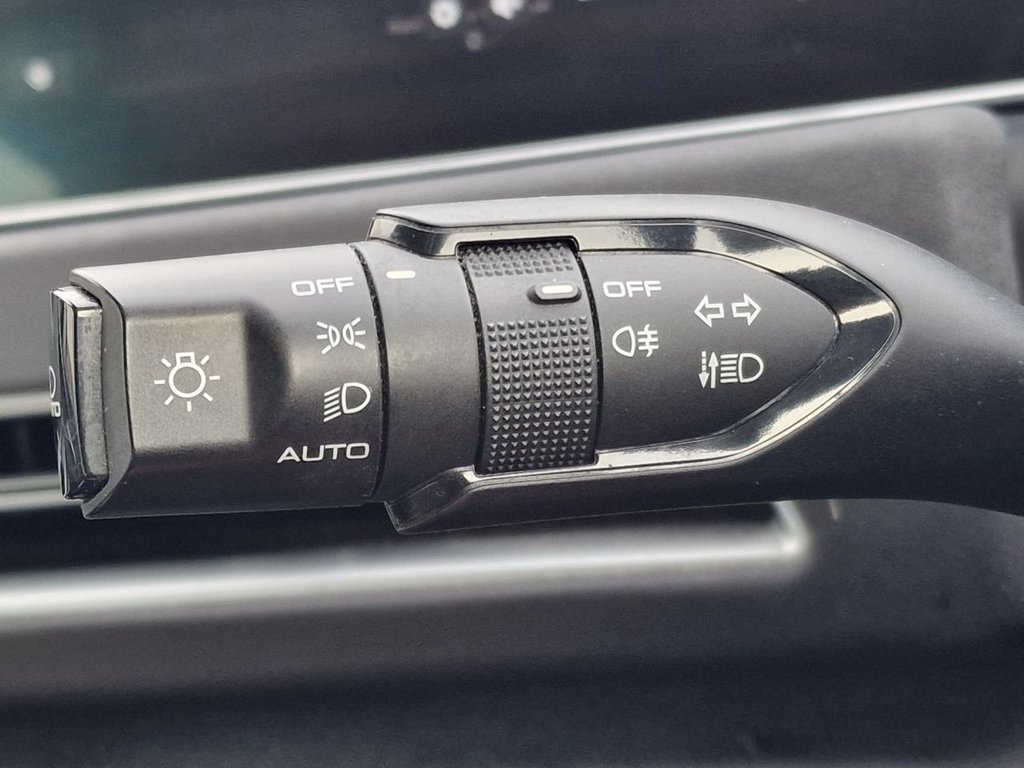 Used GWM Funky Cat 2023 for sale - 77692734: Photo 27