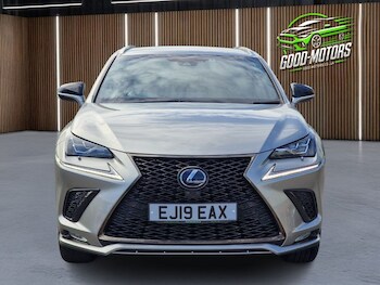 Used Lexus NX 2019 for sale - 76739982: Photo