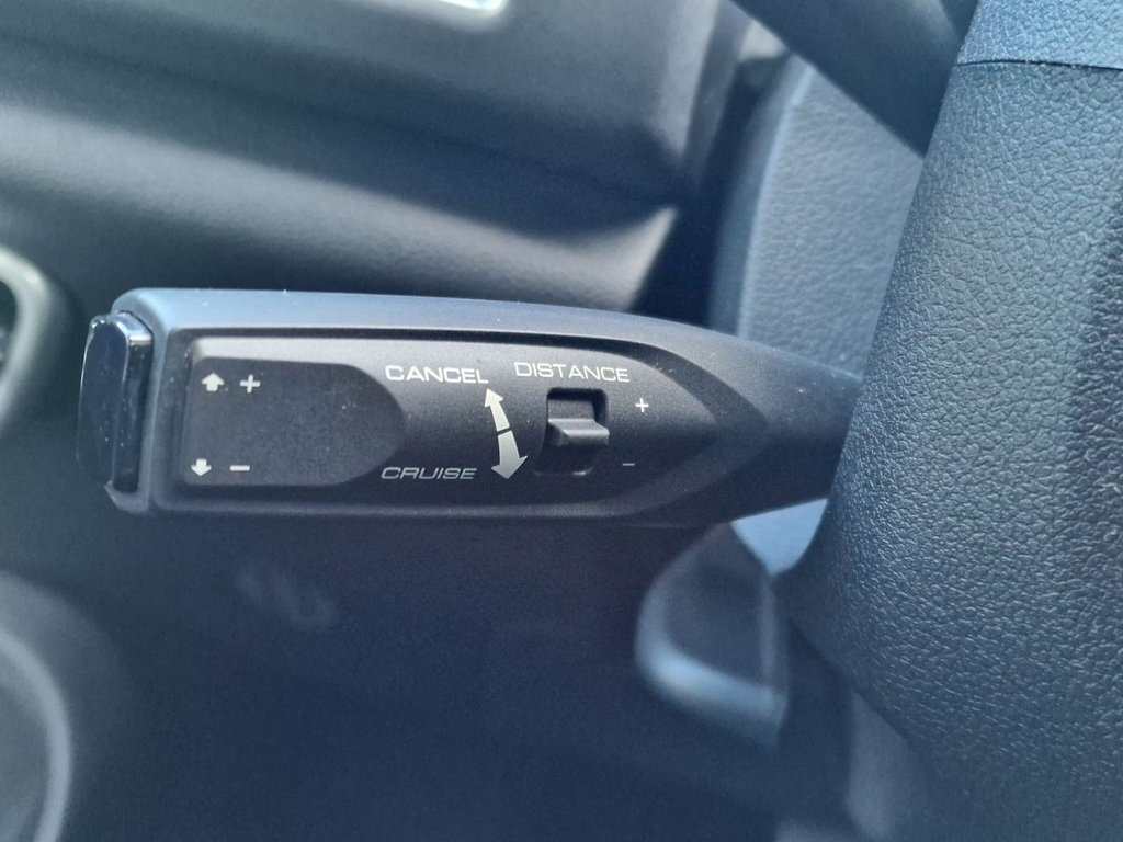 Used GWM Funky Cat 2023 for sale - 77096390: Photo 29