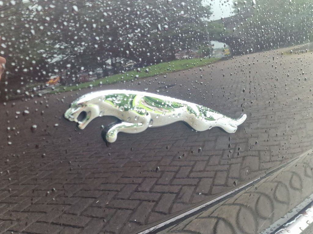 Used Jaguar XJ 2011 for sale - 77263434: Photo 24