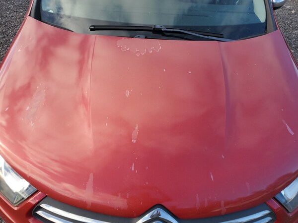 Used Citroen C4 2015 for sale - 76186733: Photo 18
