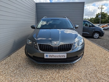Used Skoda Octavia 2019 for sale - 75871619: Photo