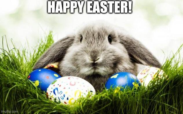 Used Citroen C1 2017 for sale - 78115944: Photo 3