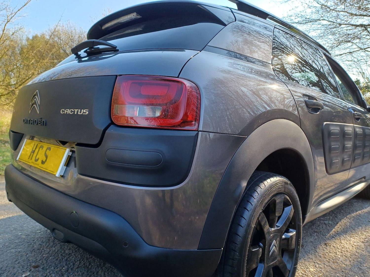 Used Citroen C4 Cactus 2017 for sale - 77978480: Photo 43
