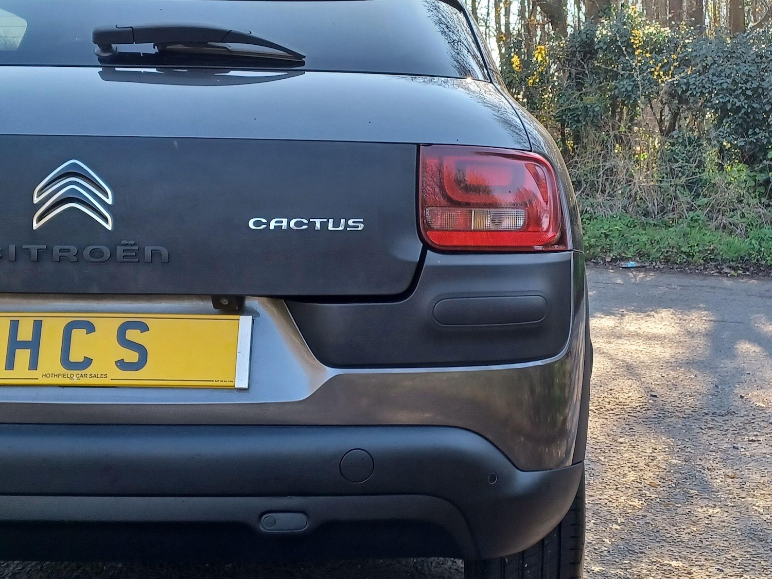 Used Citroen C4 Cactus 2017 for sale - 77978480: Photo 46