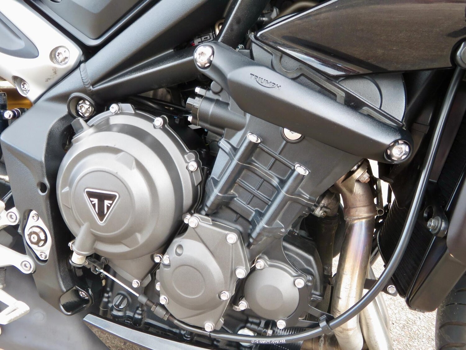 Used Triumph STREET 2018 for sale - 78907289: Photo 4
