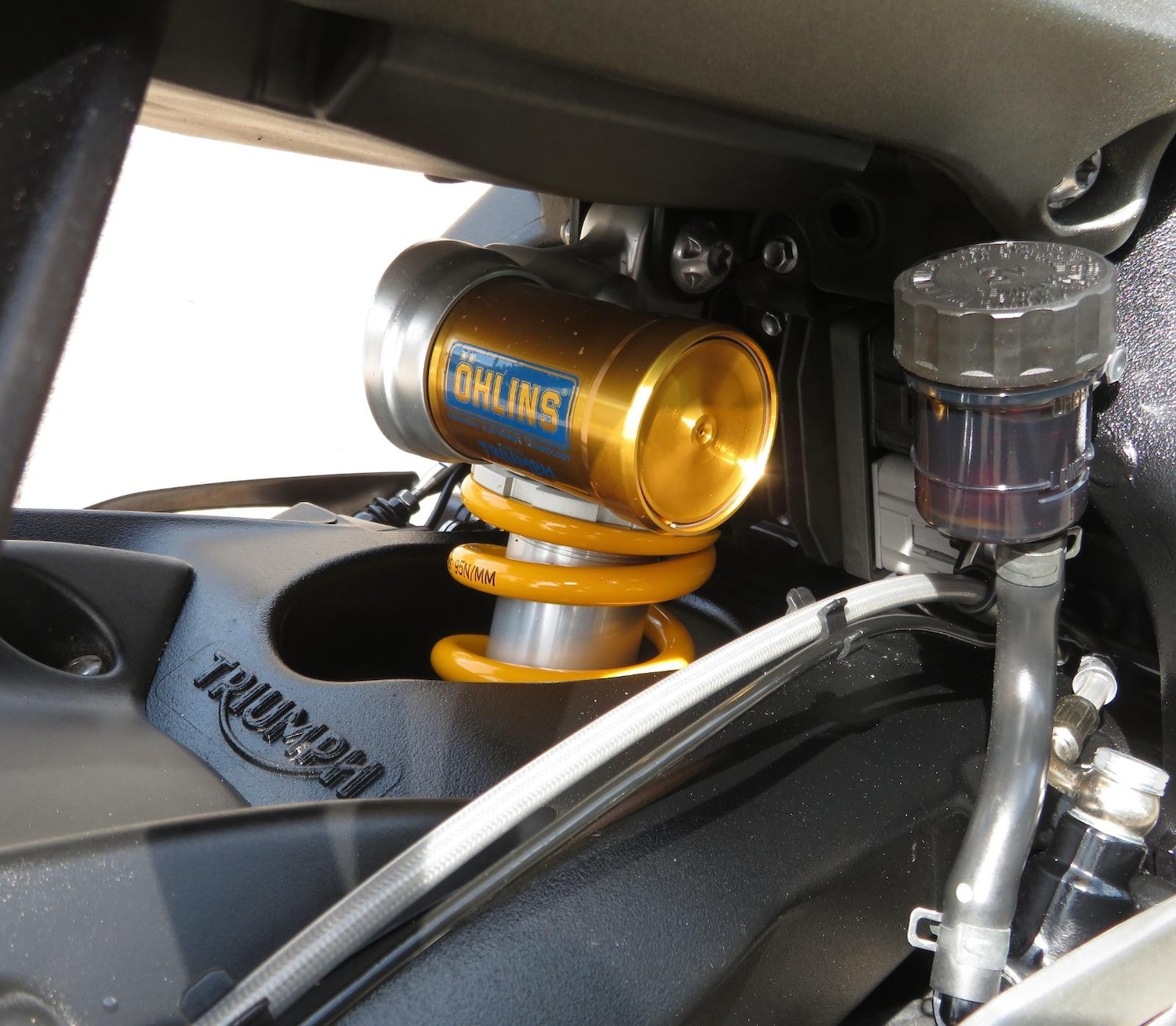 Used Triumph STREET 2024 for sale - 78907269: Photo 10