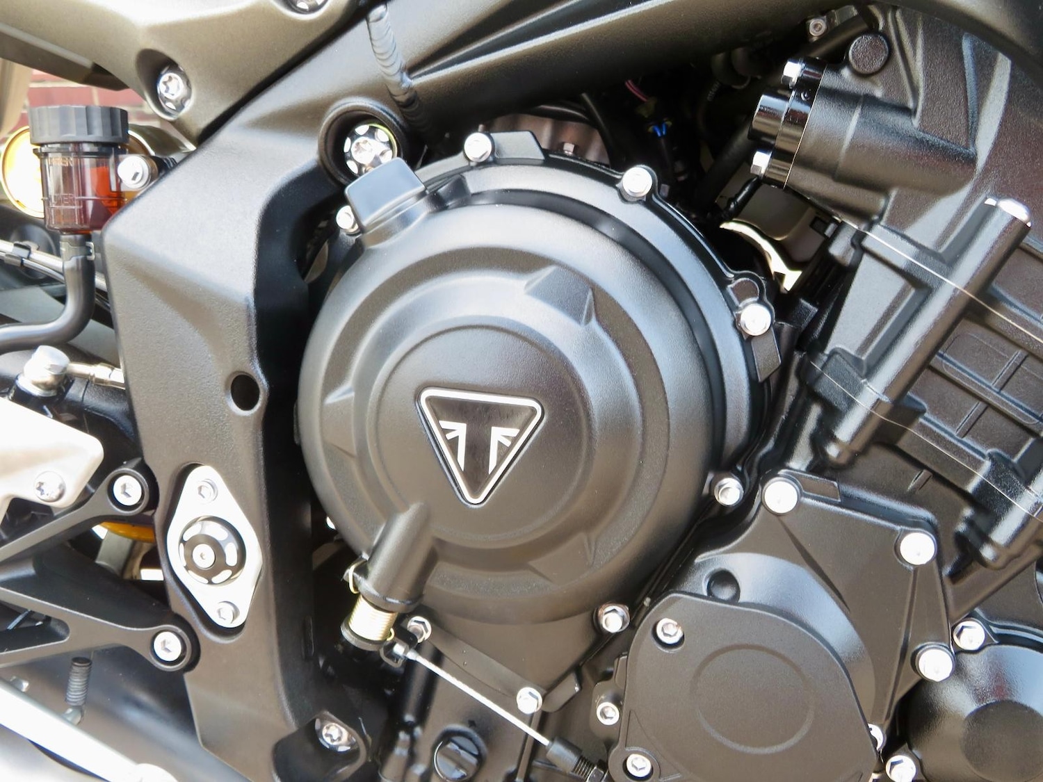 Used Triumph STREET 2024 for sale - 78907269: Photo 6