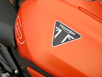 Used Triumph STREET 2025 for sale - bike-79324086: Photo