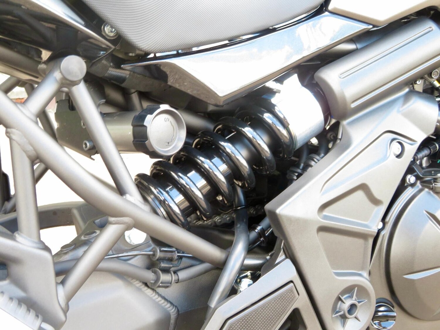 Used Kawasaki VERSYS 650 2025 for sale - 78907218: Photo 14