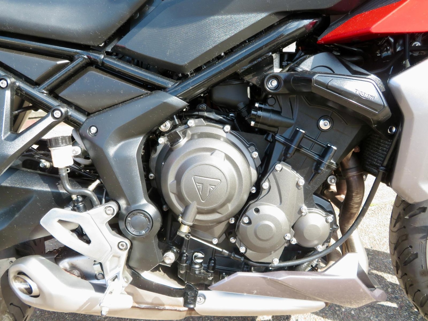 Used Triumph TIGER 2023 for sale - 78907272: Photo 3