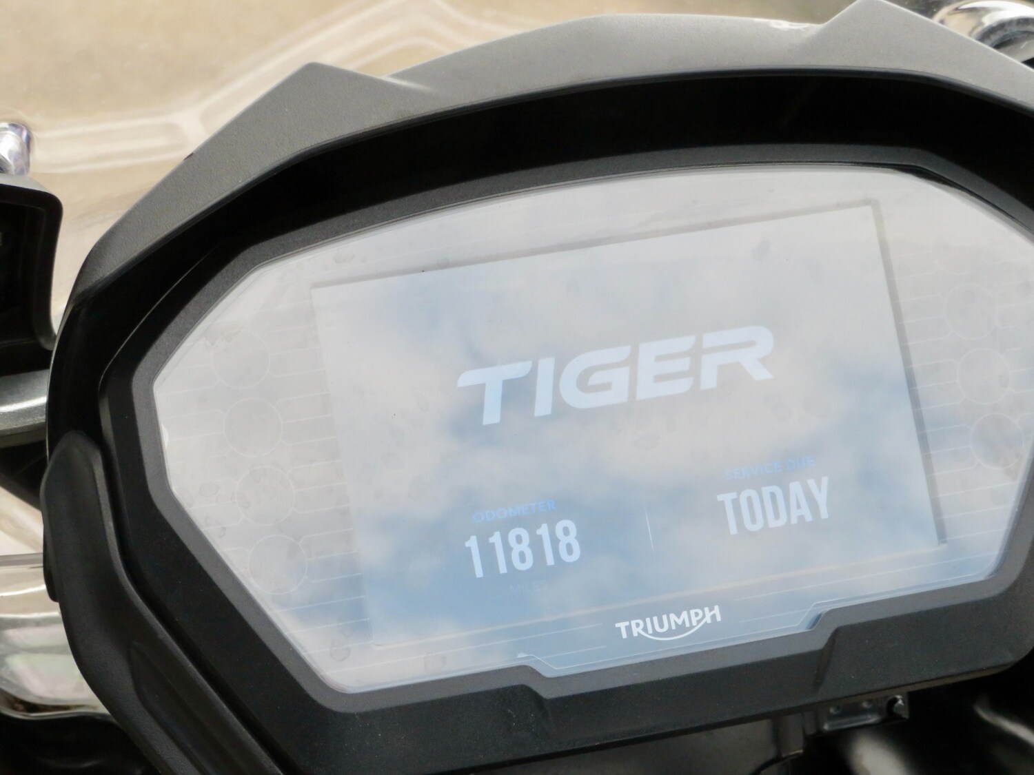 Used Triumph TIGER 2019 for sale - 78917932: Photo 10