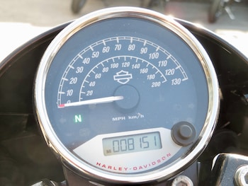 Used Harley-Davidson STREET 2017 for sale - bike-79177095: Photo