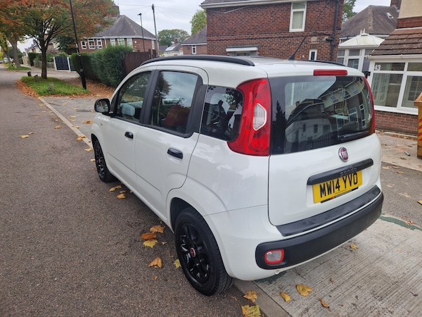 Used Fiat Panda 2014 for sale - 76276992: Photo 4