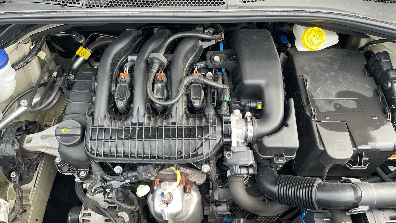 Used Citroen C3 2022 for sale - 76057633: Photo 16
