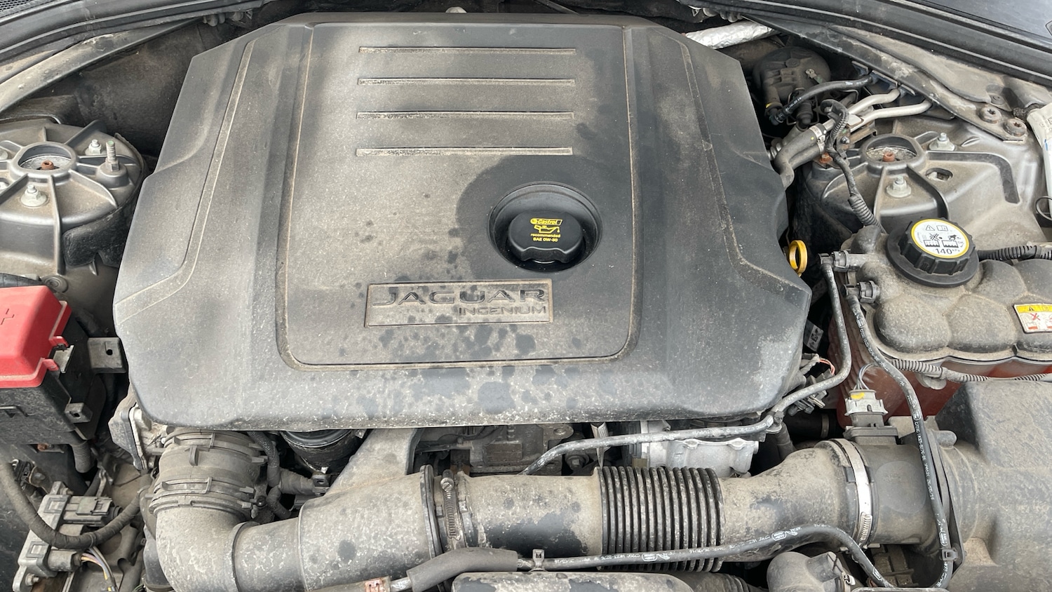 Used Jaguar F-Pace 2016 for sale - 77140543: Photo 16