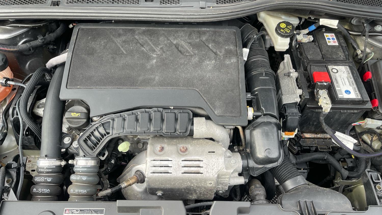 Used Citroen C4 2022 for sale - 76069598: Photo 16