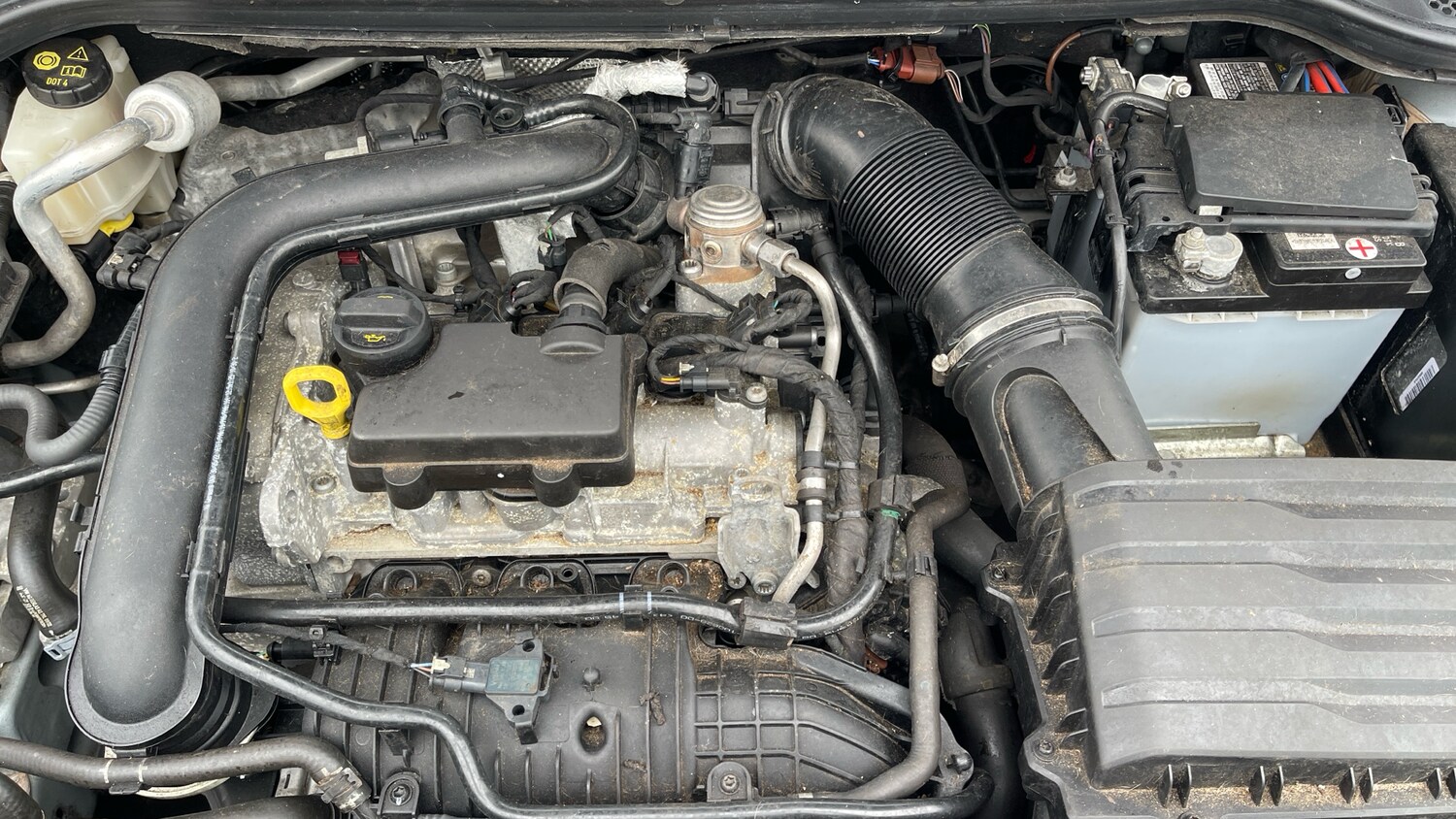 Used SEAT Arona 2023 for sale - 77465900: Photo 16