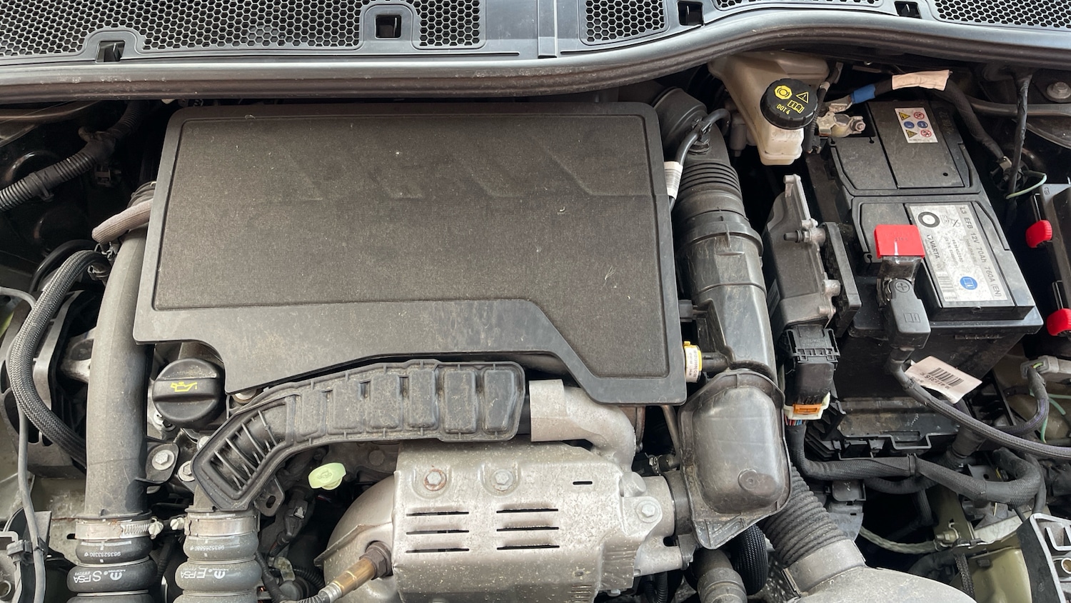 Used Citroen C4 2022 for sale - 76368849: Photo 16