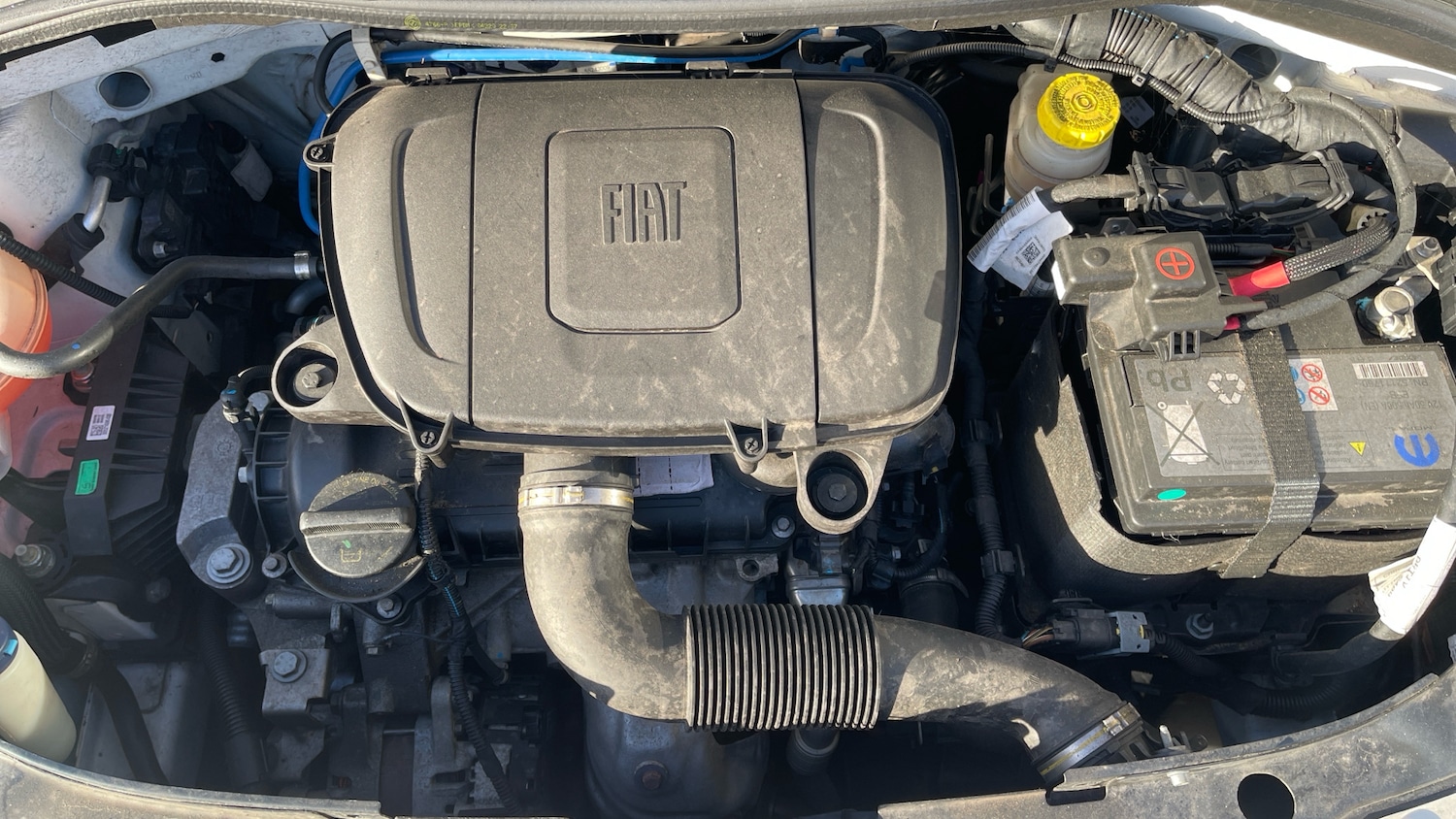 Used Fiat 500 2021 for sale - 76784873: Photo 16