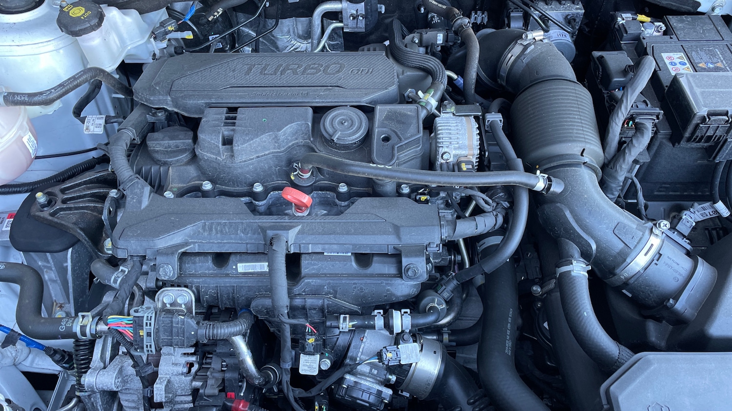 Used Kia Sportage 2024 for sale - 77954152: Photo 16