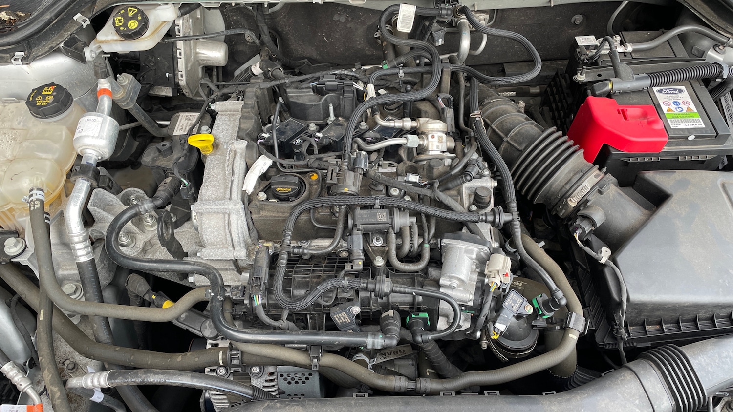 Used Ford Focus 2023 for sale - 76784901: Photo 16