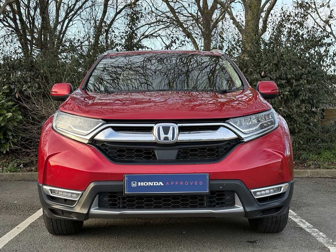 Used Honda CR-V 2023 for sale - 77826161: Photo 6