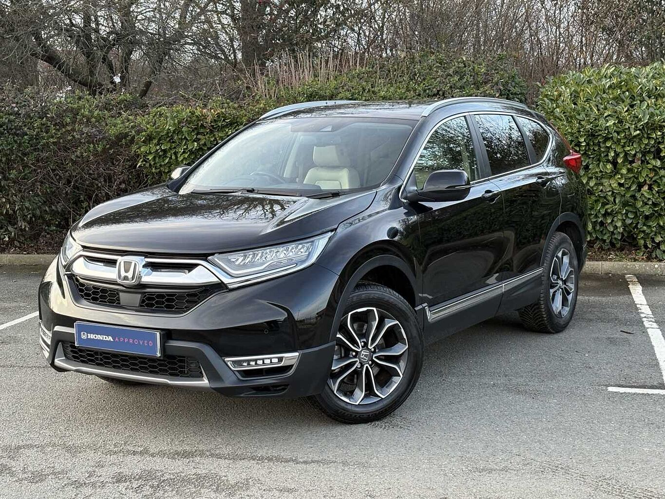 Used Honda CR-V 2023 for sale - 77826191: Photo 10