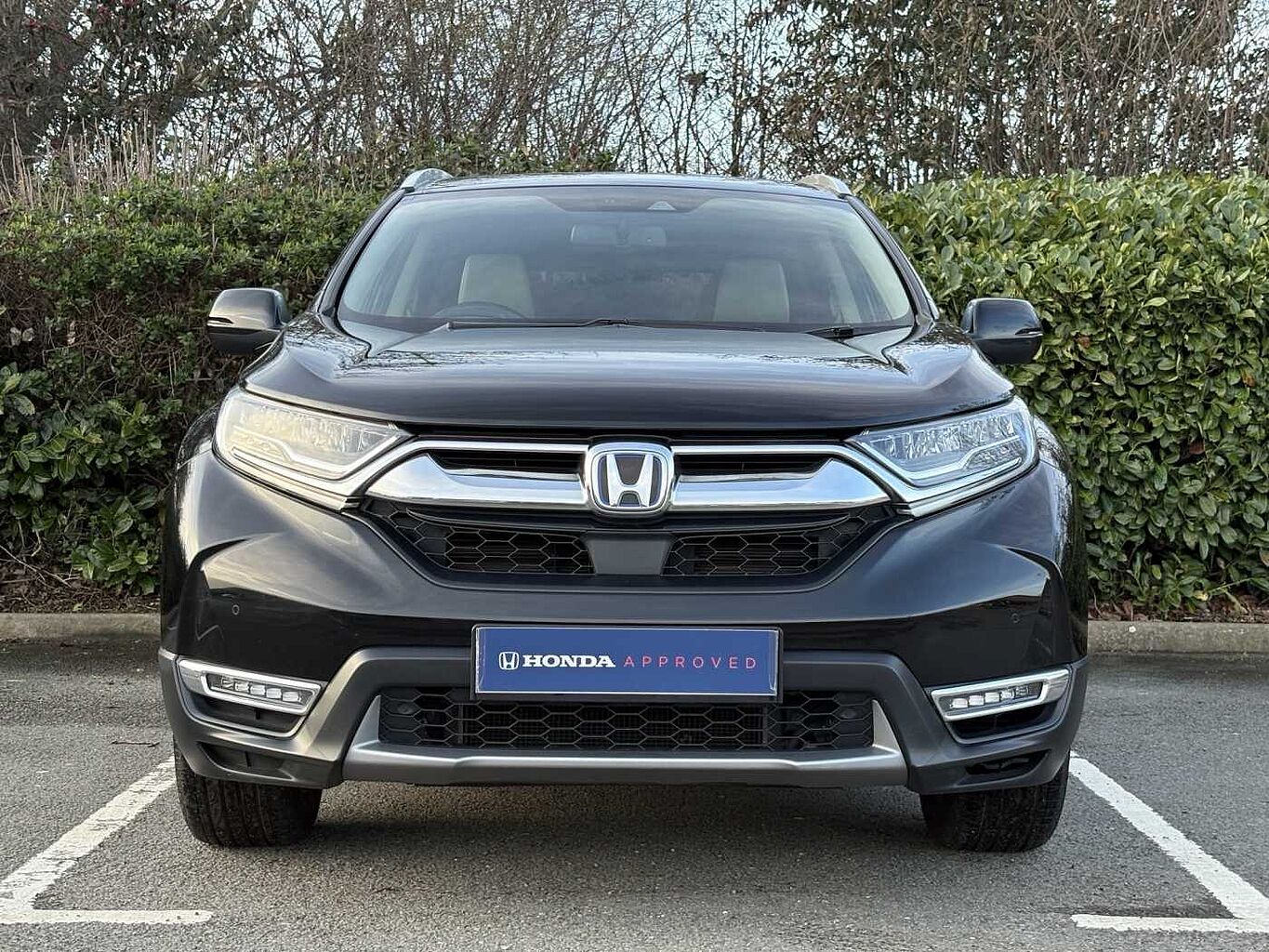 Used Honda CR-V 2023 for sale - 77826191: Photo 6